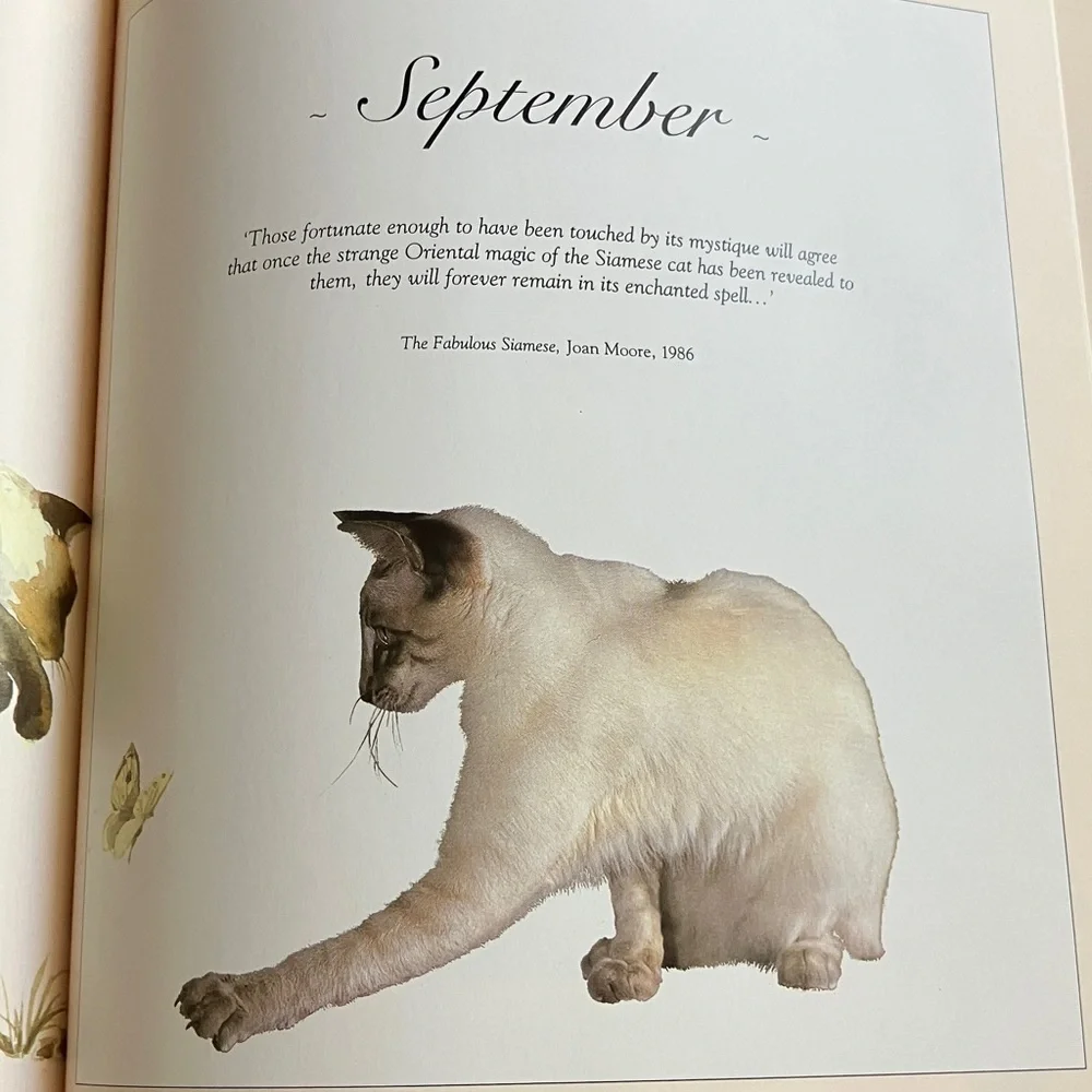 Calendar Desk Book